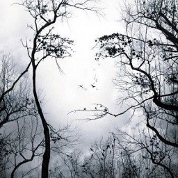 splafcan's profile picture. I need to relax and enjoy today!