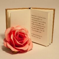 Herzchen Verlag (@herzchenverlag) Twitter profile photo