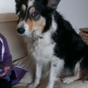 ewan morrison - @ewan111 - Twitter