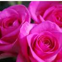 venu gopal reddy - @venugopalredd29 - Twitter