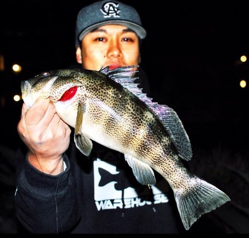 SoCalFishNTips's profile picture. San Diego native who loves to fish local bays and beaches