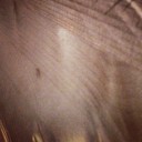 Dee Abel - @DeeAbel951 - Twitter