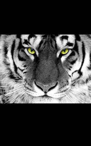 RebelAmore01's profile picture. 