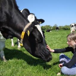 Beleefboerderij | Boerderijeducatie | Biologisch melkveeedrijf | Docent mbo | Moeder van 4 | Enthousiast & creatief
