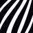 zebraboxCH's profile image