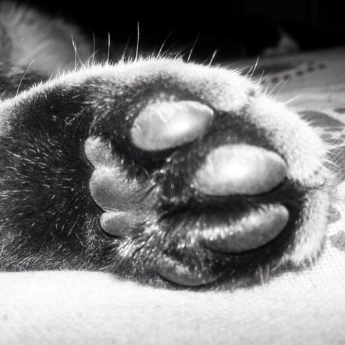 lisakivioja's profile picture. 