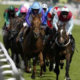 Horse Tipping. Study horse form and tip daily. From Lucky 15's to our tip of the day! Our biggest win do far this season was 50/1! Were you on it? #GoingsGood