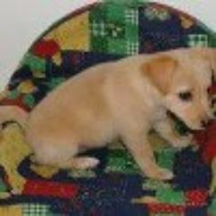 bmwmh's profile picture. 