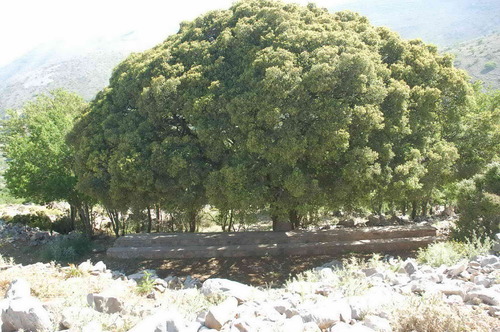 gr_storyteller's profile picture. story teller on the road tells you stories about Crete, these stories will guide you along the trips you will make when you visit Crete.