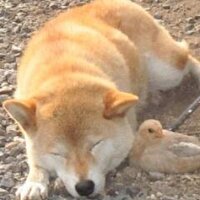 MarMu (@moto3_99) 's Twitter Profile Photo MarMu (@moto3_99) 's Twitter Profile Photo