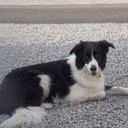 fay taylor - @flambouyantfay - Twitter