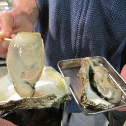 落語好き。夏の岩牡蠣好き。