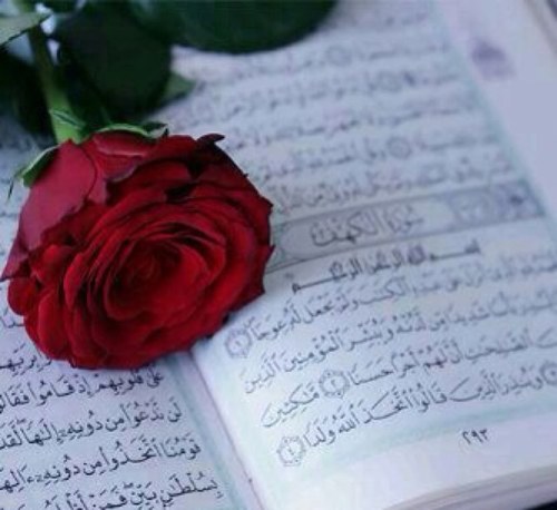 سبحان الله وبحمده سبحان الله العظيم