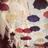 sindy_zheng