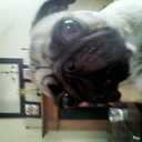 Damien Higgins - @damiemhiggins - Twitter