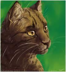 My mom is @EllaStrader my dad is @ryan_ryanboss my sis is @stripedpelt i am very strong and has a big scar on my chest Mate is @_Ravenwing_