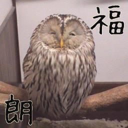 旧フクロウbot フクロウの和歌 山深み気近き鳥の音はせで物おそろしき梟の声 西行 山家集 訳 山が深いので 人に親しみのある鳥の声は聞こえず恐ろしいフクロウの声が聞える