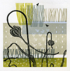 Printmaker working in Northumberland inspired by the garden and landscape.