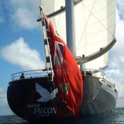 SYMalteseFalcon's profile picture. 