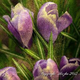 DIY crafts, design cards, photography
