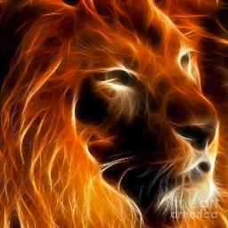 HugoEup's profile picture. Sestaoarra, Athletic bazkidea Omeathen bizitzen. Bai, Old Trafforden egon nintzen. Gora Euskal Herria! Éirinn go Brách!