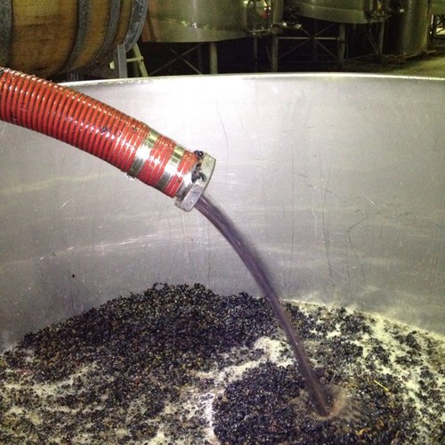 Winemaker @ Swanbrook Wines