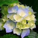 خولة سعيد محمد سعيد (@0509282702) Twitter