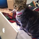 Ms. Kinley's Classes - @JoyKinley - Twitter