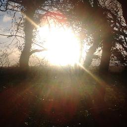 nicnuxx's profile picture. I am.