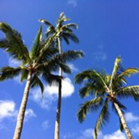 Mrs. 1500 (@mrs1500) 's Twitter Profile