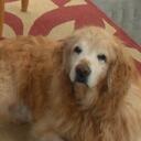 Max McAllister - @MaxMcAllister - Twitter