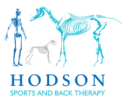 Hodson Sports and Back Therapy
http://t.co/cfN912679T