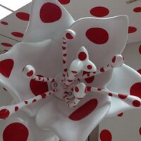 蜷川実花 さくらん5 ピエゾグラフ - その他
