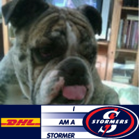 FrancoisKotze's profile picture. 