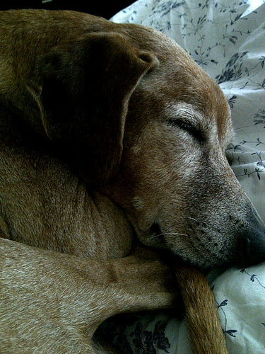 bugbites23's profile picture. 