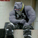 Nicolas Singh - @NicolasSingh - Twitter