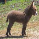 Nery rivera - @neryrivera81 - Twitter