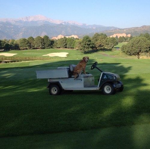 Director of Agronomy, Garden of the Gods Club
