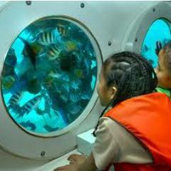 wisatabali4u's profile picture. 