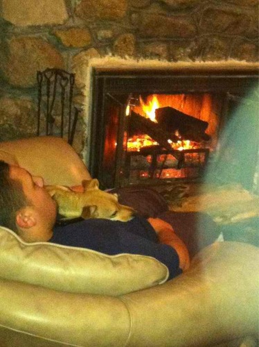 TheRealMrPePe's profile picture. 