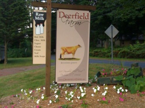 Registered Jersey farm in Durham, CT. We produce our own farmstead dairy products to include raw milk, yogurt, chocolate milk, and soft cheese.