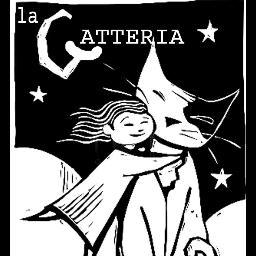 Adozioni di gatti e gattini in Piemonte_Salvataggi, recuperi, cure, adozioni e coccole per gatti, gattini e gattoni_Info: lagatteria@tardanotte.com
