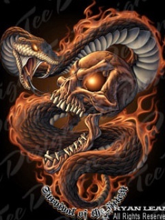 teamboss3's profile picture. 