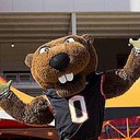 Emo Benny the Beaver - @EmoBennyBeaver - Twitter