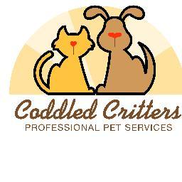 CoddledCritter1's profile picture. Professional Pet Sitter serving Gulfport, Kenneth City, Madeira Beach, Pinellas Park, South Pasadena, St. Petersburg and Treasure Island