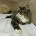 Vanessa Barela - @vanabarela - Twitter