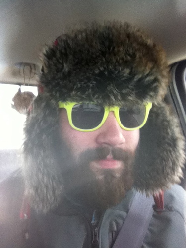 BigcatFunfacts's profile picture. I am the big cat and these are my fun facts.