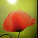 Chris Aubry - @chrishugaubry - Twitter