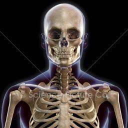 Edgeworth5's profile picture. 