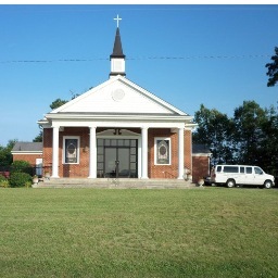 freespring123's profile picture. 